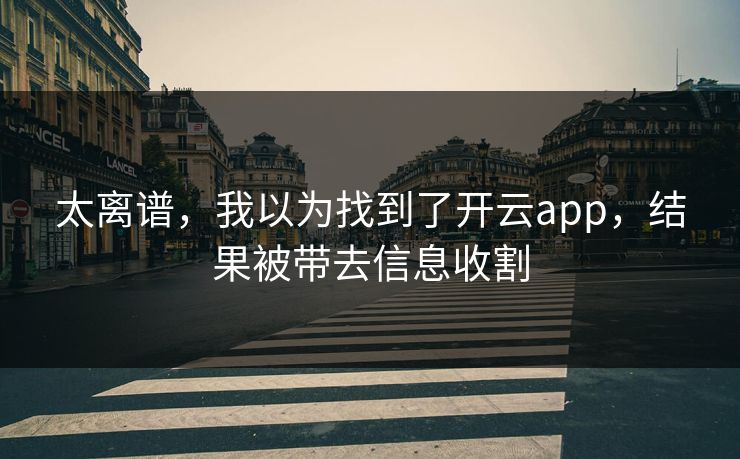 太离谱，我以为找到了开云app，结果被带去信息收割